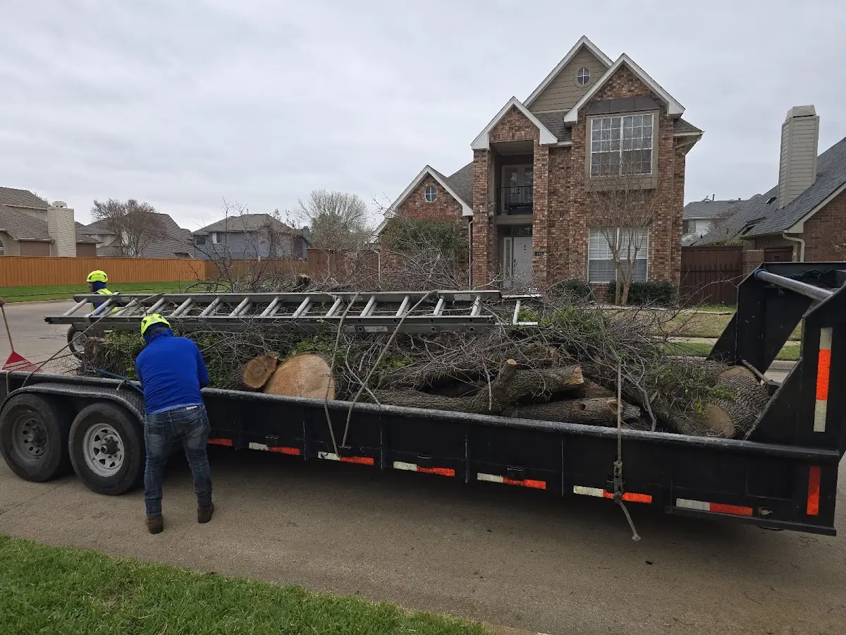 Expert Tree Fertilization with proper safety equipment in Mer Rouge
